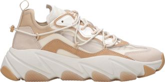 Ash Scarpe da ginnastica in frassino