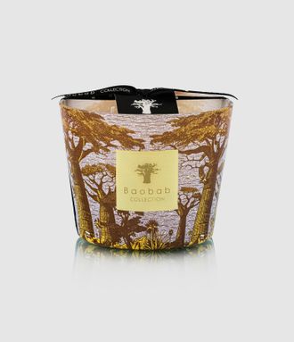 Baobab Bougie Max 10 Sacred Trees Cocody