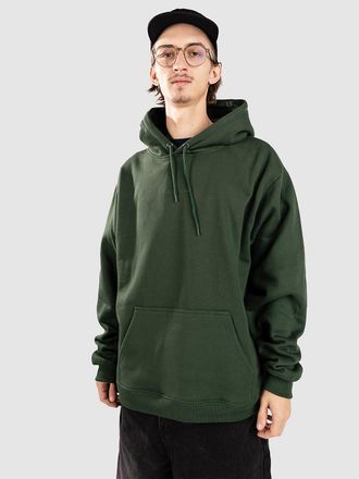 Blue Tomato Mini Logo Hoodie gr&uuml;n