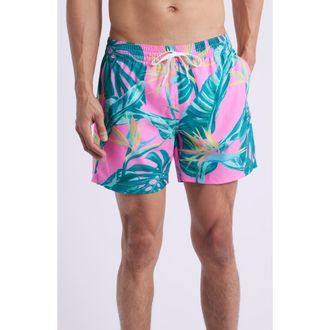 Chubbies The Birds of Paradise Floral 5.5-Inch Swim Trunks in Bright Pink at Nordstrom, Size Xx-Large