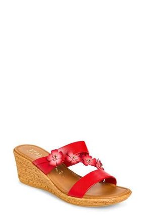 Italian Shoemakers Niva Wedge Sandal in Red at Nordstrom Rack, Size 10