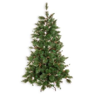 LOLAhome &Aacute;rbol de navidad de 240 cm y 920 ramas