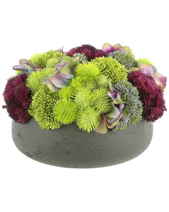 Creative Displays Inc. Sedum & Hydrangea Arranged In Round Pot