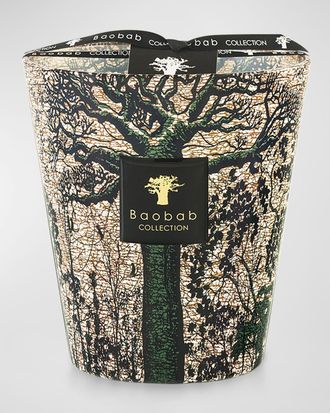 Baobab Sacred Trees Kani 4-Wick Max16 Candle, 77.6 oz