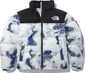 The North Face FW22 Logo Winter Jacket Multicolor NJ1DN51J