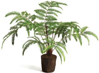 Napa Home & Garden Forest Fern Faux (Fake) Drop-In 29.5 in Green at Nordstrom