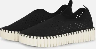 Ilse Jacobsen Womens Tulip 3373 Shoe In Black