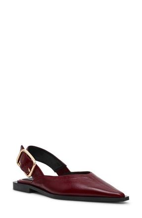 Steve Madden Shay Pointed Toe Slingback Flat in Burgundy Leather at Nordstrom, Size 8