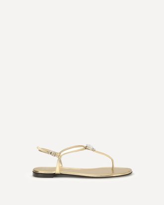 Giuseppe Zanotti Sandali Pia Mizuki Woman 36