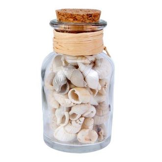 Beachcombers White Shells Decorative Cork Glass Bottle 3.13 in Brown at Nordstrom