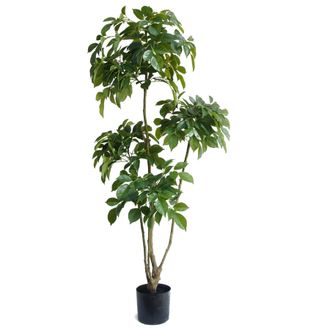 Leaf Realistic Artificial Tree XL 150cm Radermachera in Green