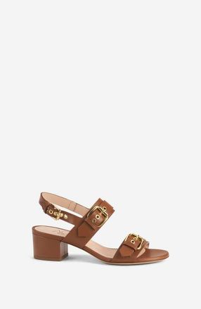 AGL Lala Straps Sandal with Buckles in Brandy Nappa at Nordstrom, Size 39.5
