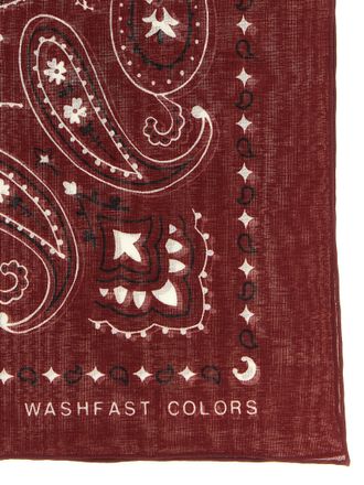 Alanui Paisley-Print Scarf - Burgundy