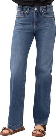 Silver Jeans Co Avery Curvy Relaxed Straight Leg Trouser Jeans in Folk at Nordstrom, Size 26 33