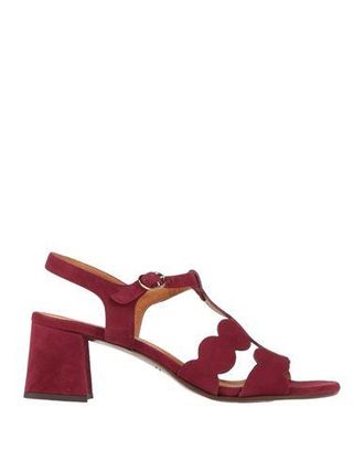 Chie Mihara Sandals