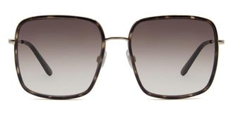 Mexx 6548 100 Mens Sunglasses Tortoiseshell Size 56