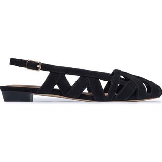 Bernardo Glinda Flat in Black at Nordstrom, Size 6.5