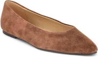 Nine West Valore Flat in Medium Brown at Nordstrom, Size 9.5
