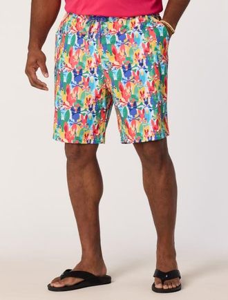 Psycho Bunny Big & Tall Tanner Swim Trunks in Multi at Nordstrom, Size Xxx-Large
