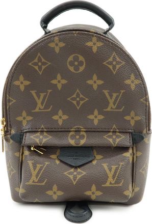 Louis Vuitton Palm Springs Monogram Canvas Brown Canvas Backpack Bag (Pre-Owned)