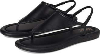 Franco Sarto Jocelyn Womens Sandals Black : 6.5 M, Leather