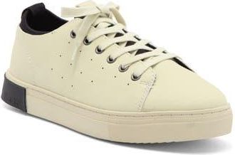 STRAUSS + RAMM The Lace Up Sneaker in Bone at Nordstrom Rack, Size 8