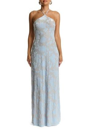 Naked Wardrobe Burnout Halter Maxi Cocktail Dress in Floral Soft Blue at Nordstrom Rack, Size Medium