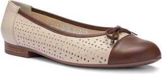 Ara Sangria Cap Toe Flat in Mocca/Beach at Nordstrom, Size 10.5