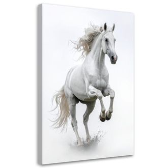 Feeby Impresi&oacute;n De Imagen, Caballo Blanco Galopando, 70x100