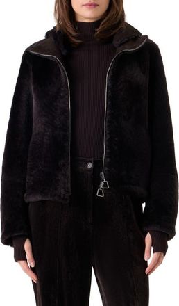 Akris Dino Reversible Genuine Shearling Jacket in Coffee at Nordstrom, Size 10