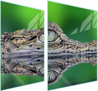 OEM Placa Protectora De Vidrio Para Estufa 70x52 Cocodrilo