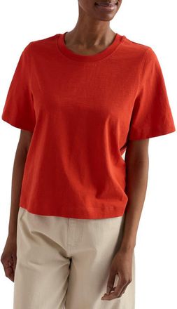 Seasalt Cornwall Copseland Organic Cotton T-Shirt in Brick at Nordstrom, Size 12