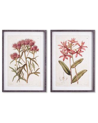 Napa Home & Garden Pretty In Pink Vintage Prints Set