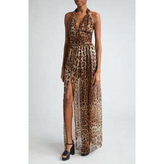 Dolce & Gabbana Leopard Print Silk Chiffon Halter Dress in Hy13M Leo New at Nordstrom, Size 4 Us