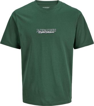 Jack & Jones Plus Size Kurzarmshirt JORBLEECKER MINIMAL TEE SS CREW NE PLS, Herren, Gr. 4XL, sycamore, Jersey, Obermaterial: 100% Baumwolle, JACK & JONES PLUSSIZE, bedruckt,