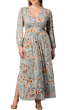 Kiyonna Kelsey Long Sleeve Maxi Dress in Spring Meadow at Nordstrom, Size 0X