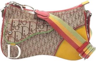 Dior Pre-owned Rasta Trotter Saddle Pocket Schoudertas - Dames - Vintage Schoudertas - Veelkleurig - ONE Size - Leer - Vintage