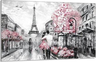 OEM Placa Protectora De Vidrio Para Estufa 80x52 Par&iacute;s