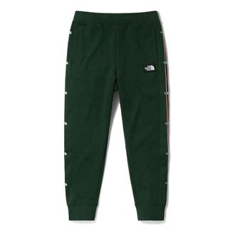 The North Face Vanlife Logo Pants Olivegreen NF0A5JW8-VR0
