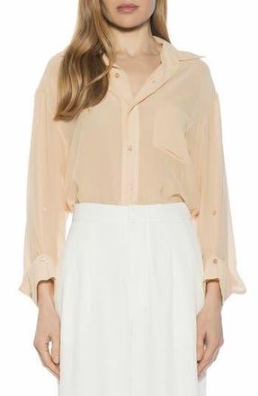 Alexia Admor Atticus Sheer Button Up Shirt in Beige at Nordstrom Rack, Size X-Small