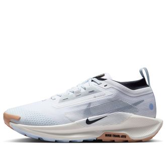 Nike (WMNS) Nike Pegasus Trail 5 Gore-Tex White Blue Tint Gum FQ0912-103