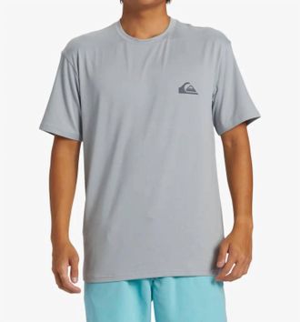 Quiksilver Everyday Surf Short Sleeve Tee In Sje0-Quarry