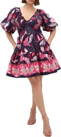 City Chic Simono Fit & Flare Minidress in Calista Dark at Nordstrom, Size Xxxs
