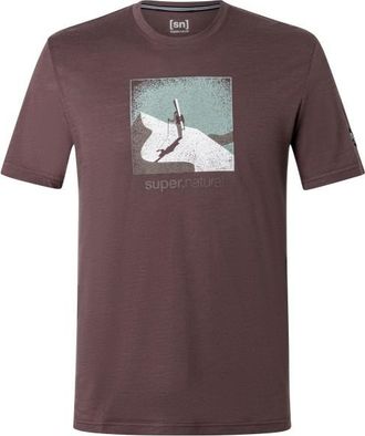 super.natural Almost Done Tee Merinoshirt f&uuml;r Herren | raisin / various