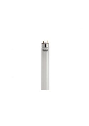 Beghelli Set Lampada Neon Led Fluorescente Std 150 Cm G13, 24w T8 Luce Fredda 6500k