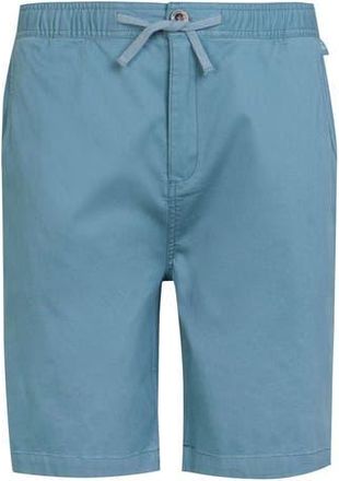 Regatta Aldan Chino Shorts in Coronet Blue at Nordstrom, Size 38