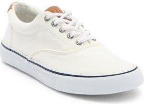 Sperry Top-Sider Striper II CVO Sneaker in White at Nordstrom Rack, Size 7.5
