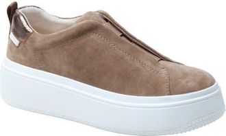 Linea Paolo Golde Platform Sneaker in Taupe at Nordstrom, Size 10.5