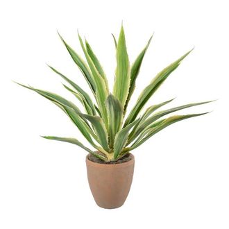 Schubiger M&ouml;bel Kunstpflanze Agave im Terracottatopf, Gr&uuml;ncreme H: 85 cm