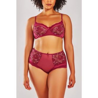 iCollection Two-Toned Lace Bra & High-Waist Panty Set in Wine at Nordstrom, Size 1X